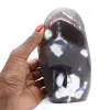 Ornamentalchat - 1