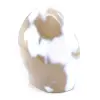 Ornamentalchat - 3
