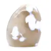 Ornamentalchat - 4