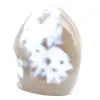 Ornamentalchat - 6