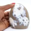 Ornamentalchat - 1