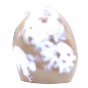 Ornamentalchat