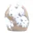Ornamentalchat