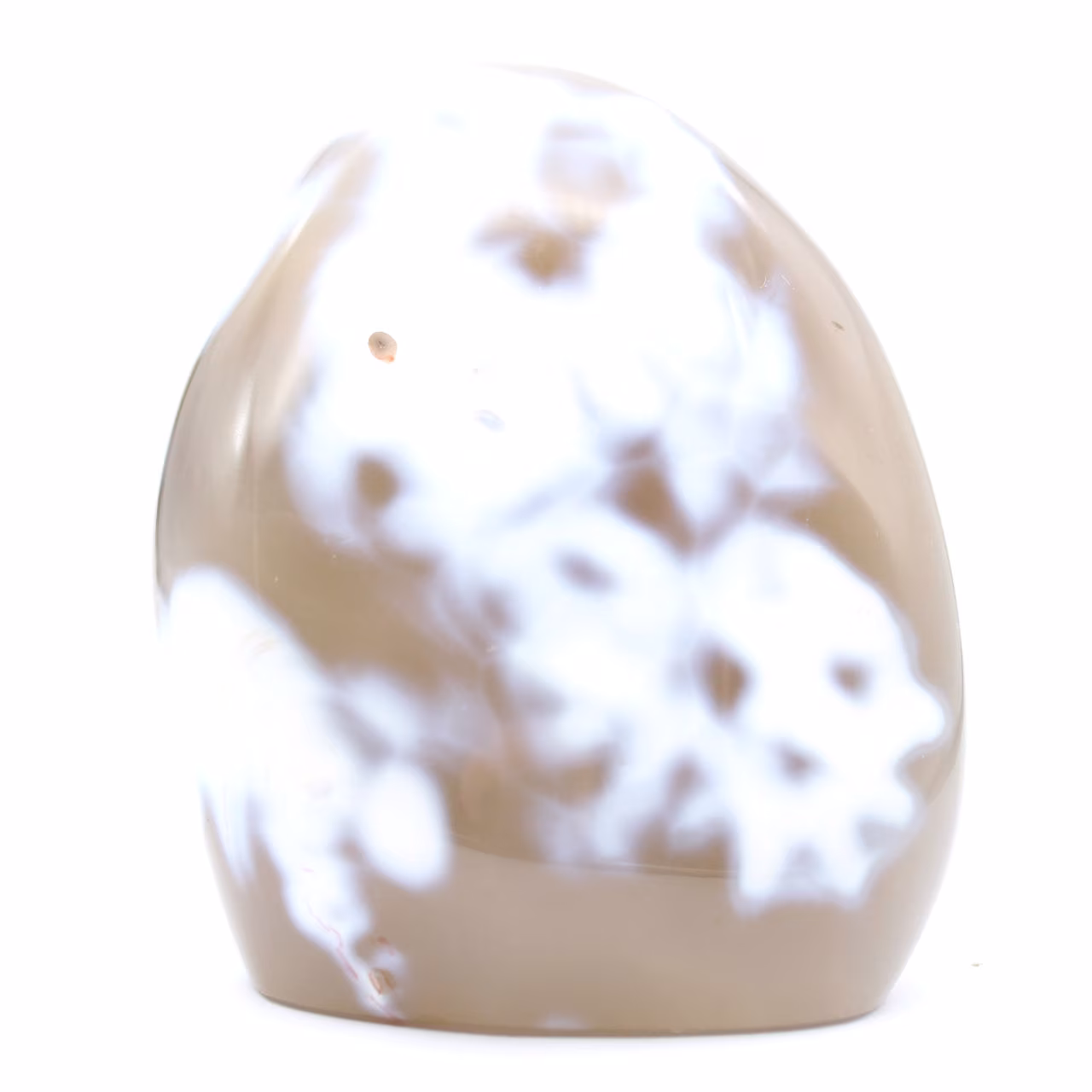 Ornamentalchat
