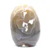 Ornamentalchat - 0