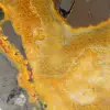 Poliertes Exemplar des Hummeljaspis: Herkunft Indonesien - 8