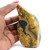 Polierter Hummeljaspis: Mineralogisches Exemplar aus Indonesien - 0