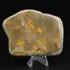 Echtheitszertifikat für Jasper-Hummel-Exemplare - 4