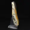 Authentische Jasper-Hummel-Ornament-Dekoration - 5