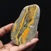Poliertes Exemplar des Hummeljaspis aus der wissenschaftlichen Sammlung - 1