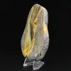 Poliertes Exemplar des Hummeljaspis aus der wissenschaftlichen Sammlung - 2