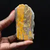 Jasper Bumblebee: Sammlerplakette - 1