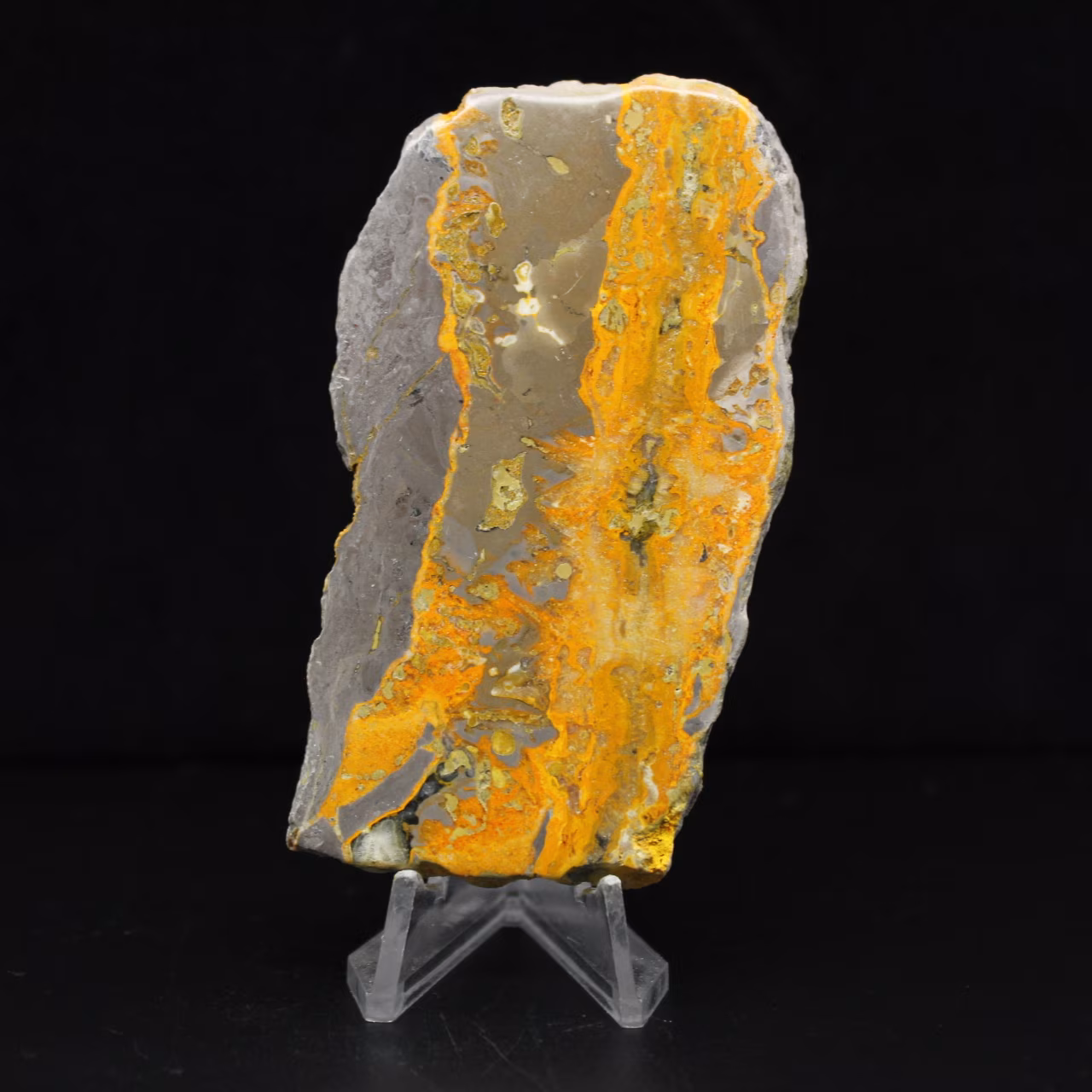 Java Bumblebee Jasper Slice