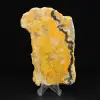 Bumblebee Jasper: Java-Scheibe - 3