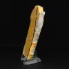 Bumblebee Jasper: Java-Scheibe - 5
