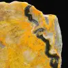 Bumblebee Jasper: Java-Scheibe - 6