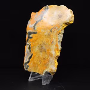 Bumblebee Jasper: Java-Scheibe