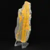 Hummeljaspis: Indonesisches Exemplar - 2
