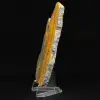Hummeljaspis: Indonesisches Exemplar - 3