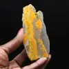 Hummeljaspis: Indonesisches Exemplar - 1
