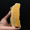 Dicke Scheibe indonesischer Hummeljaspis - 1