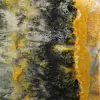 Poliertes, kompaktes Exemplar von Hummeljaspis - 7