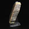 Hummeljaspis: quadratische Sedimentplatte - 6