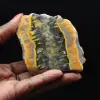 Hummeljaspis: quadratische Sedimentplatte - 1