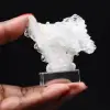 Himalaya-Quarzkristall - 0