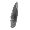 Fossiler Orthoceras - 2
