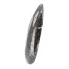 Fossiler Orthoceras aus Marokko - 2