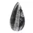 Fossiler Orthoceras