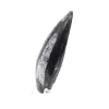 Fossiler Orthoceras - 2
