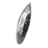 Fossiler Orthoceras aus Marokko - 2