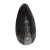 Fossiler Orthoceras aus Marokko - 0