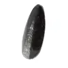 Fossiler Orthoceras aus Marokko - 2