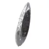 Fossiler Orthoceras aus Marokko - 2