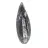 Fossiler Orthoceras aus Marokko