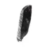 Fossiler Orthoceras - 2