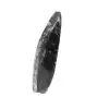 Fossiler Orthoceras - 2