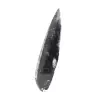 Fossiler Orthoceras - 2