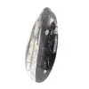 Fossiler Orthoceras aus Marokko - 2
