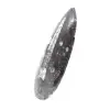 Fossiler Orthoceras - 2