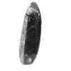 Fossiler Orthoceras aus Marokko - 2
