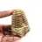 Fossiler Trilobit