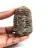 Fossiler Trilobit