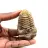Fossiler Trilobit