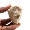 Fossiler Zahn von Otodus - 0