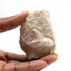 Fossiler Zahn von Otodus - 0