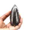 Fossiler Orthoceras aus Marokko - 1